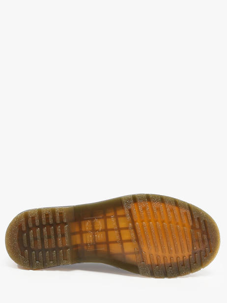 Bottines 1460 Pascal En Cuir Dr martens Marron men 40967200 vue secondaire 4